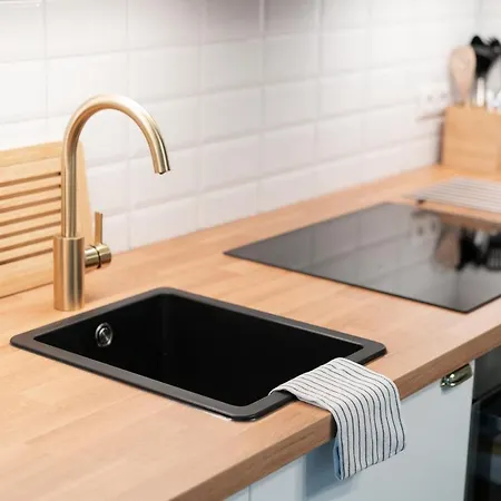 Apartment Privatsphaere Im Kutscherhaus Der Golding Dresden